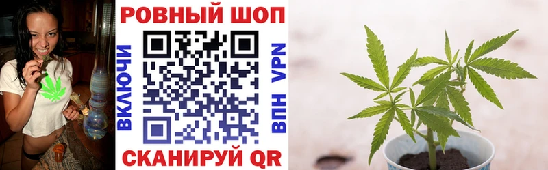 Хочу наркоту Электросталь СК  Cocaine  НБОМе  Канабис  ГАШИШ 