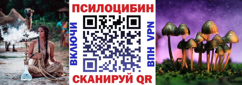 Галлюциногенные грибы Psilocybe  hydra вход  Электросталь 